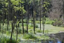 Sprawozdanie z seminarium dotyczącego małej retencji